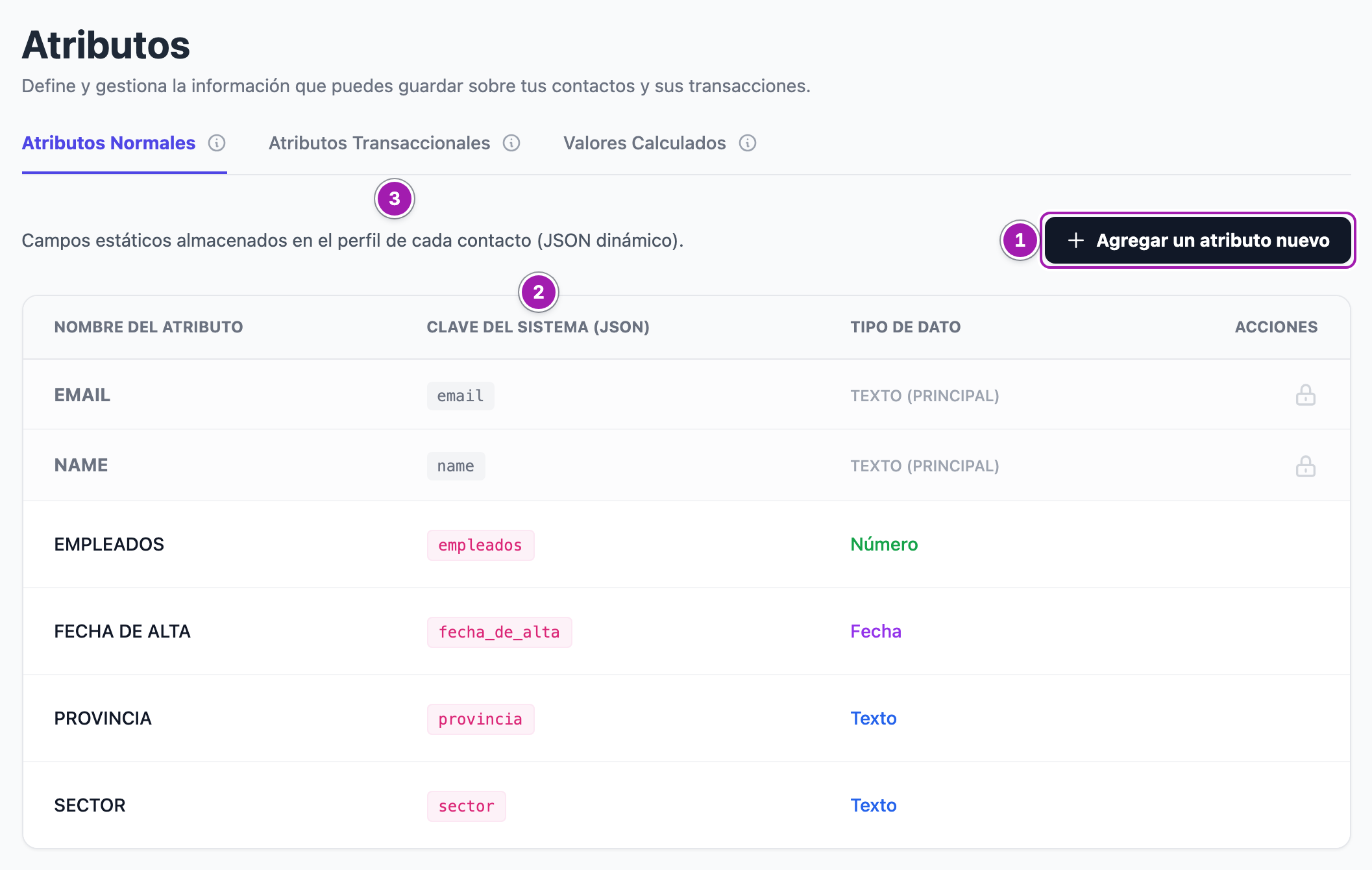 Pantalla «Atributos»: el botón «Agregar un atributo nuevo» (1), la tabla con EMAIL y NAME fijos y los cuatro campos de la cuenta con su «Clave del Sistema (JSON)» (2) y su tipo, y la pestaña «Atributos Transaccionales» (3).